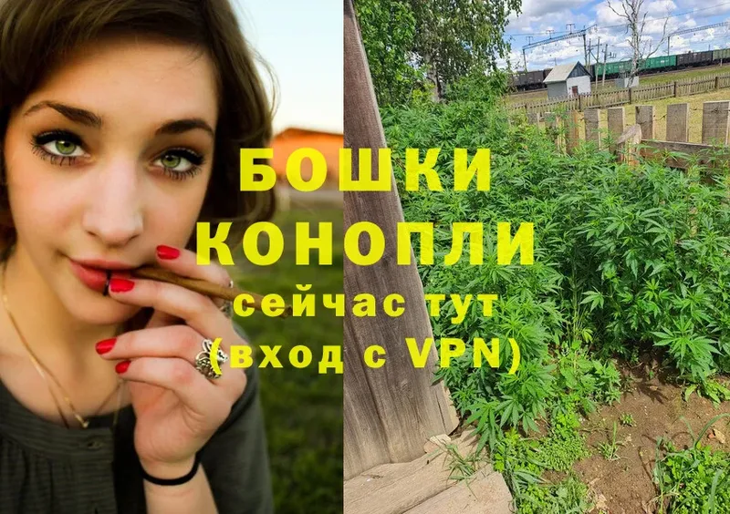 Бошки Шишки SATIVA & INDICA  как найти закладки  Орск 